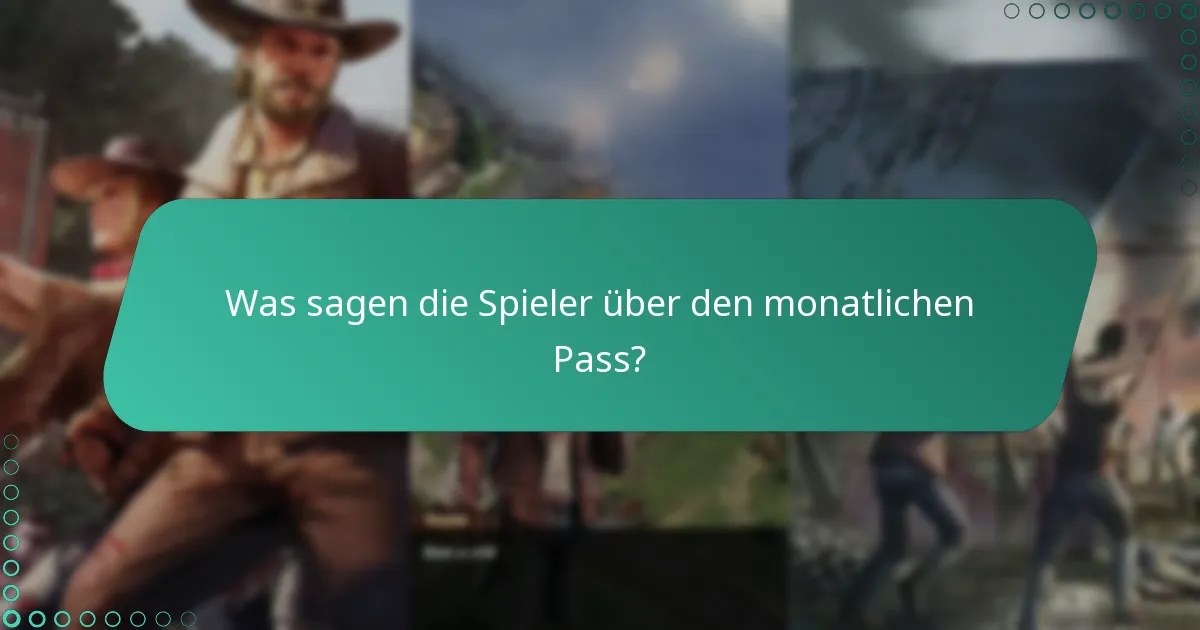 Was kostet der monatliche Pass und welchen Wert hat er?